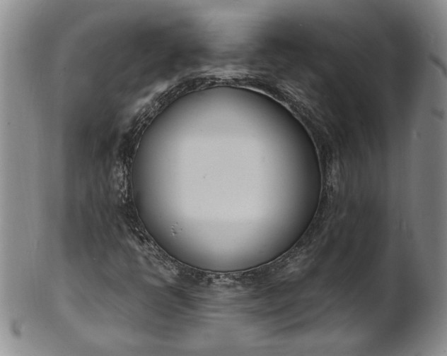 X0000100981398200807081232