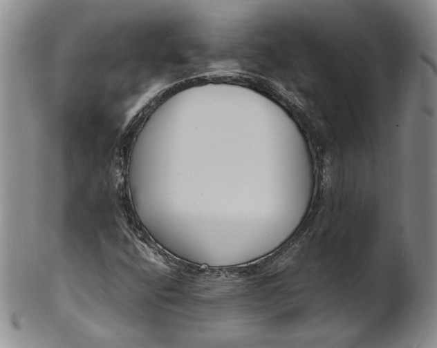 X0000100981400200807081232