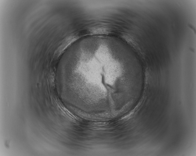 X0000100981401200807081232