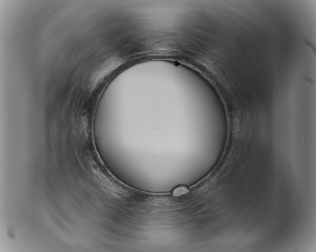 X0000100981402200807081232