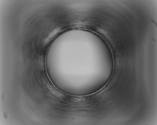 X0000100981403200807081232