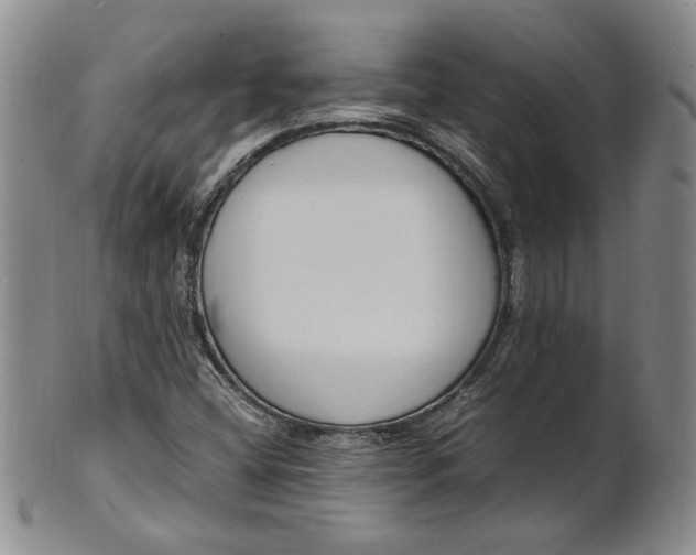 X0000100981404200807081232