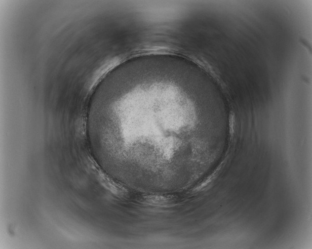 X0000100981405200807081232