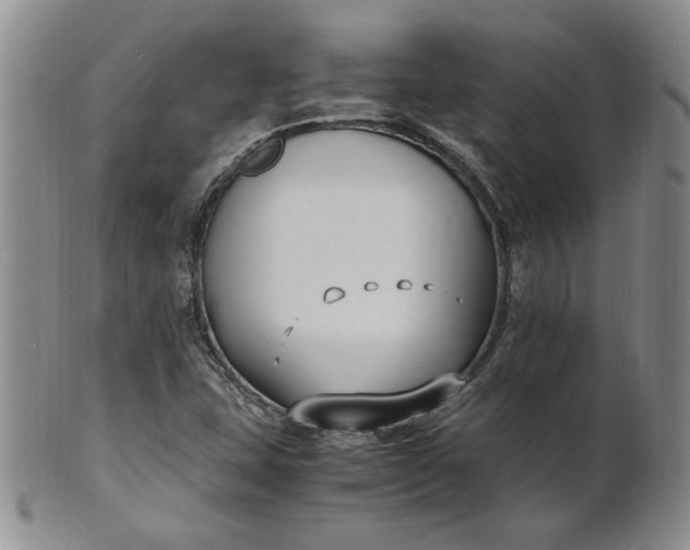 X0000100981407200807081232