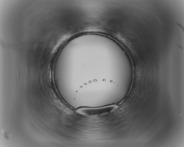 X0000100981408200807081232