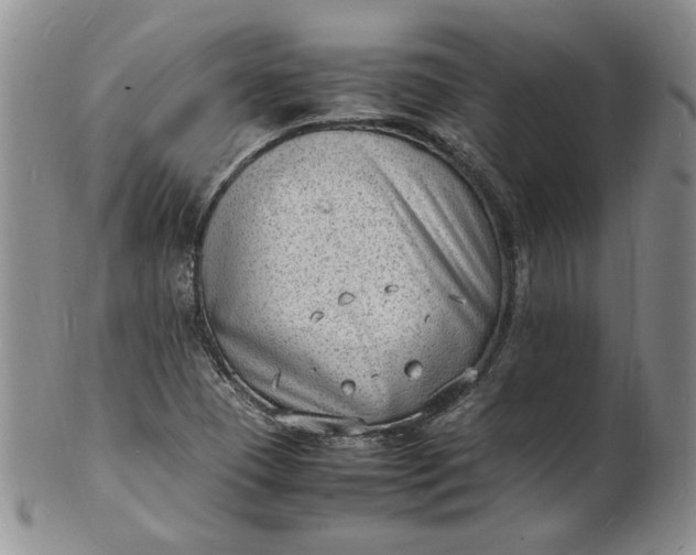 X0000100981409200807081232