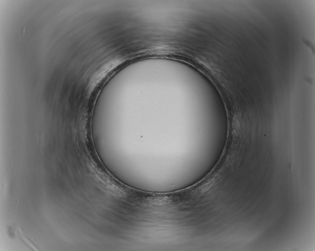 X0000100981410200807081232