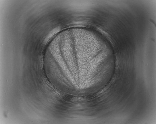 X0000100981411200807081232