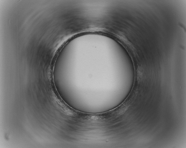 X0000100981412200807081232