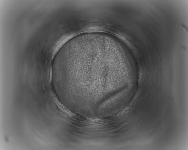 X0000100981413200807081232