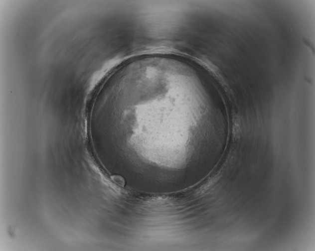 X0000100981414200807081233