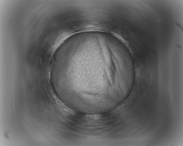 X0000100981415200807081233