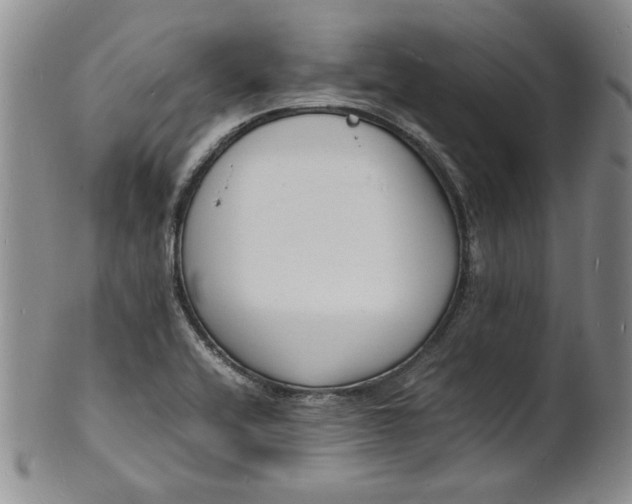 X0000100981416200807081233