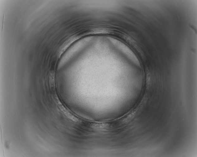 X0000100981417200807081233