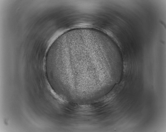 X0000100981421200807081233