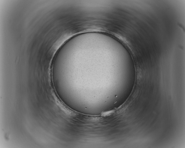 X0000100981423200807081233