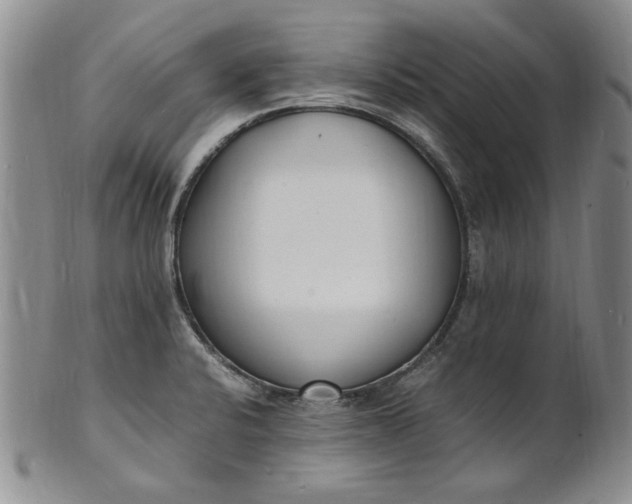 X0000100981424200807081233