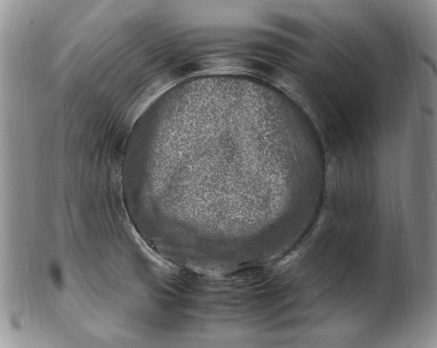 X0000100981425200807081233