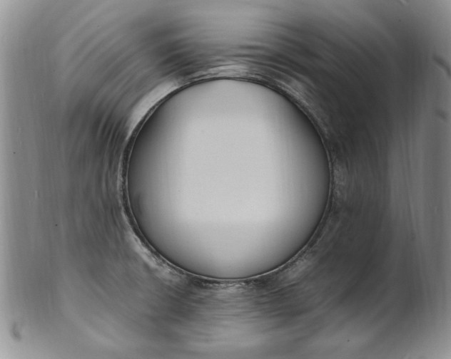 X0000100981426200807081233