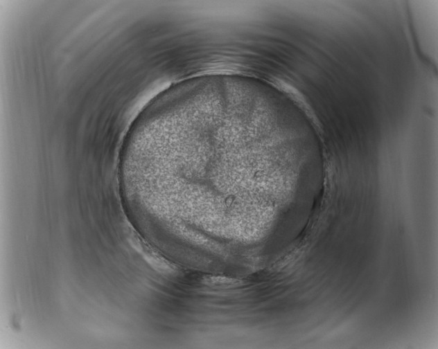 X0000100981427200807081233