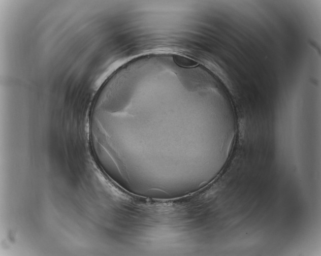 X0000100981428200807081233