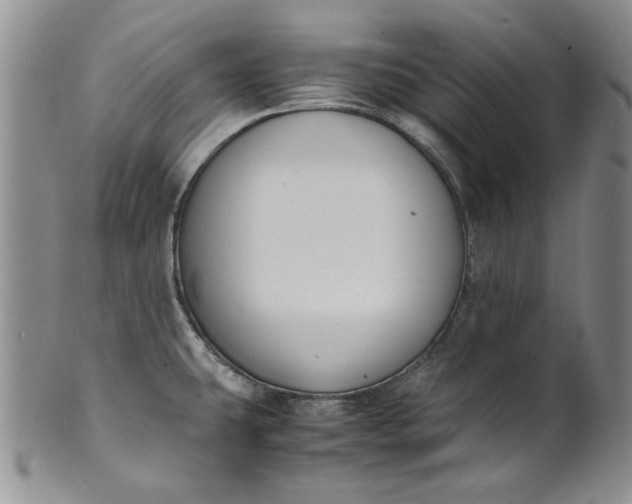 X0000100981431200807081233