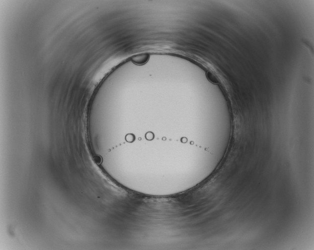 X0000100981432200807081233