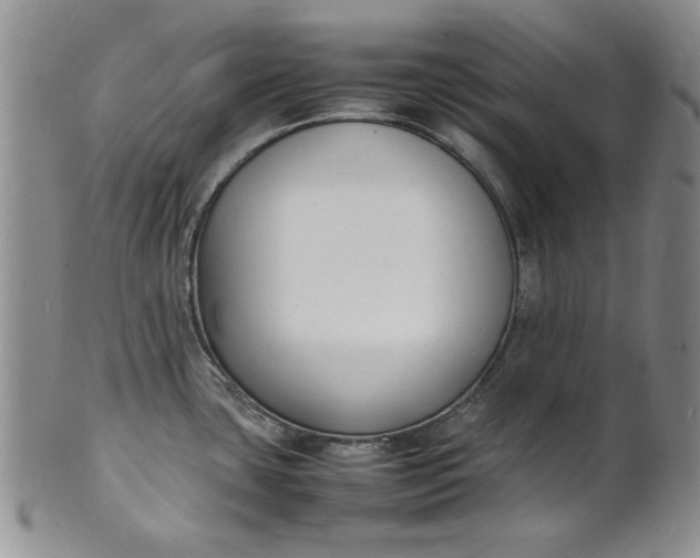 X0000100981435200807081233