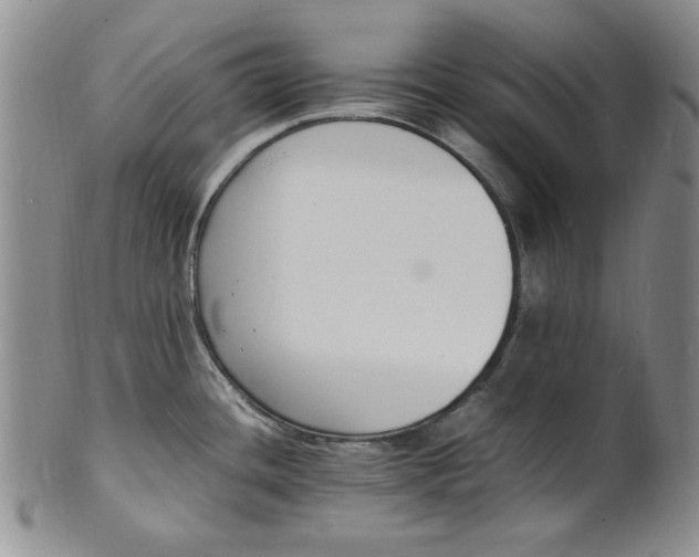 X0000100981436200807081233