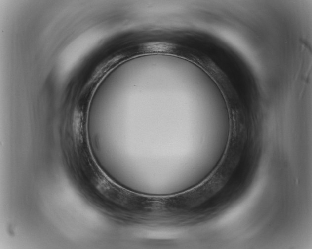 X0000100981438200807081233