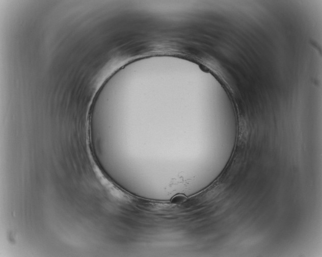 X0000100981439200807081233