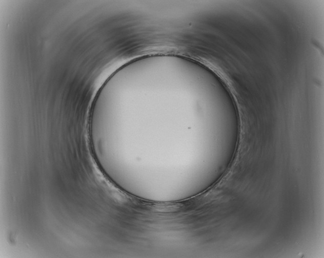 X0000100981440200807081233