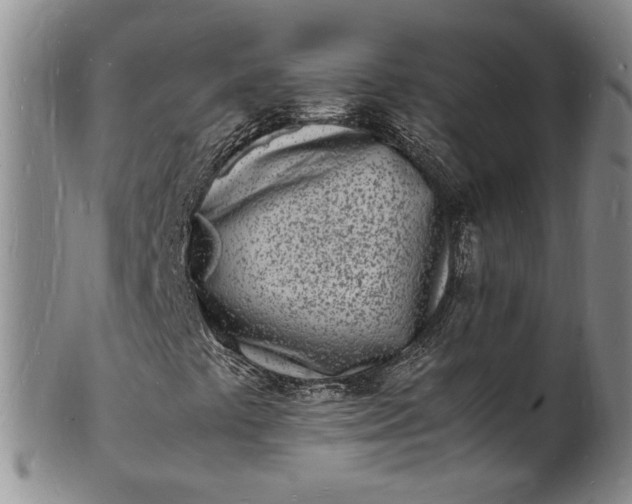 X0000100981441200807081232