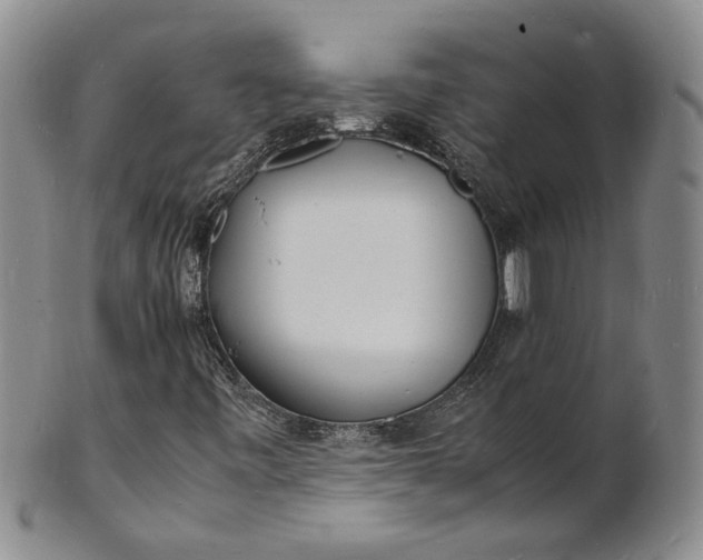 X0000100981443200807081232