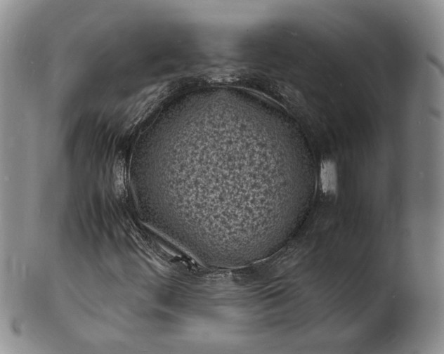 X0000100981444200807081232