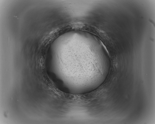 X0000100981445200807081232