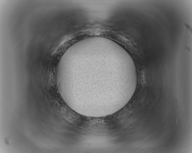 X0000100981446200807081232