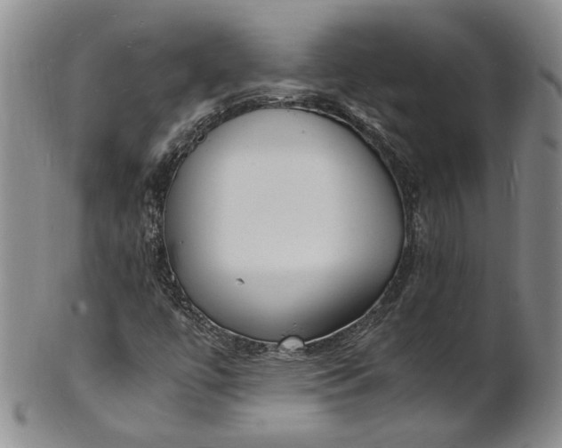 X0000100981447200807081232