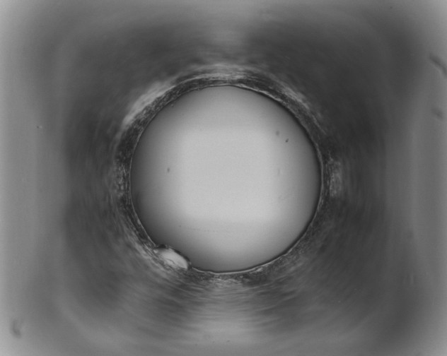 X0000100981448200807081232