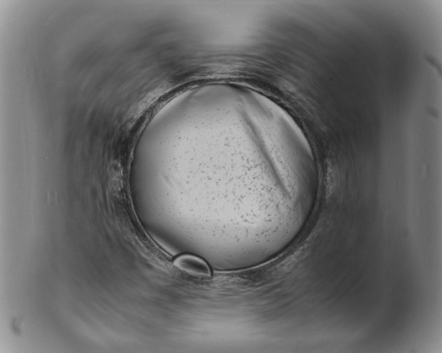 X0000100981449200807081232