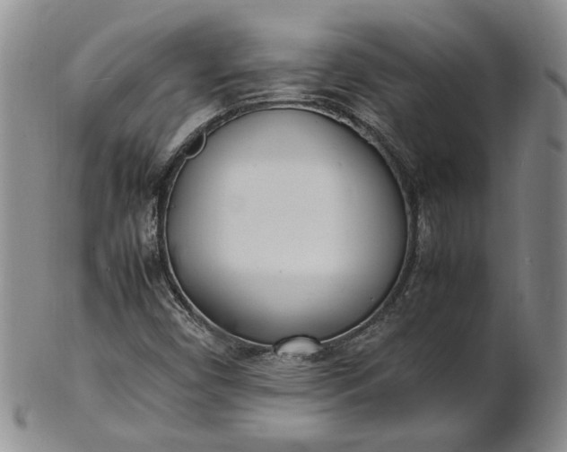 X0000100981450200807081232