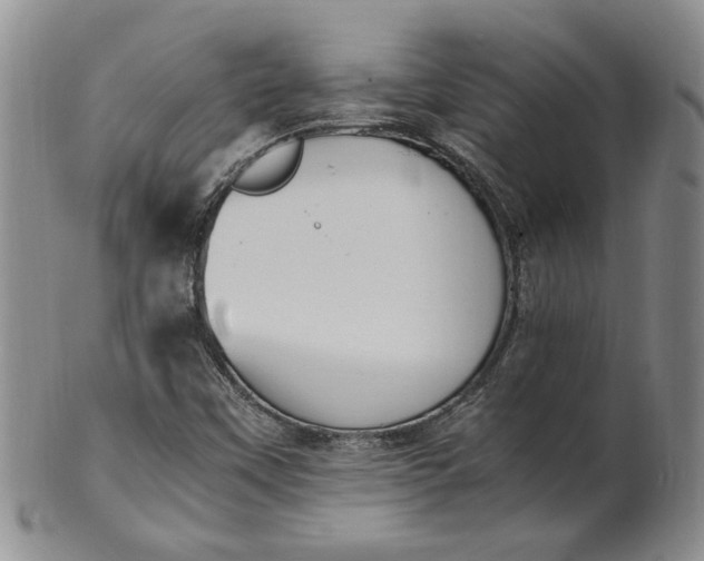 X0000100981451200807081232