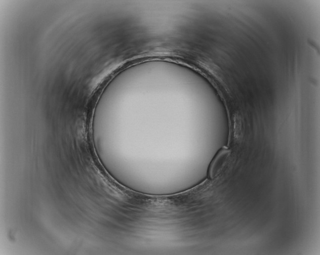 X0000100981452200807081232