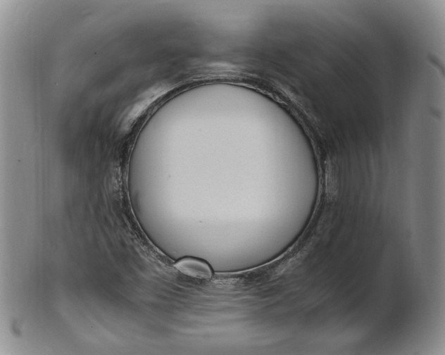 X0000100981453200807081232