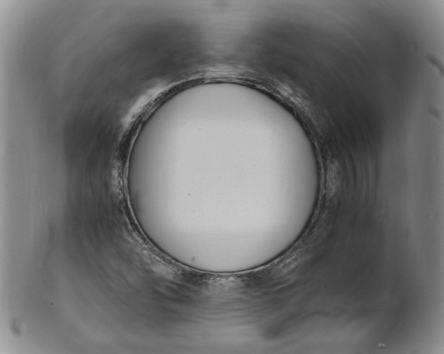 X0000100981454200807081232