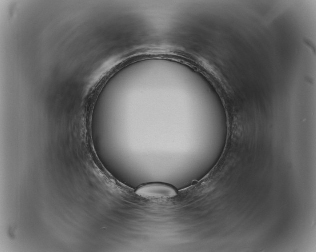 X0000100981456200807081232