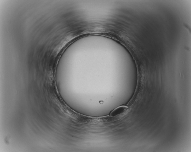 X0000100981457200807081232