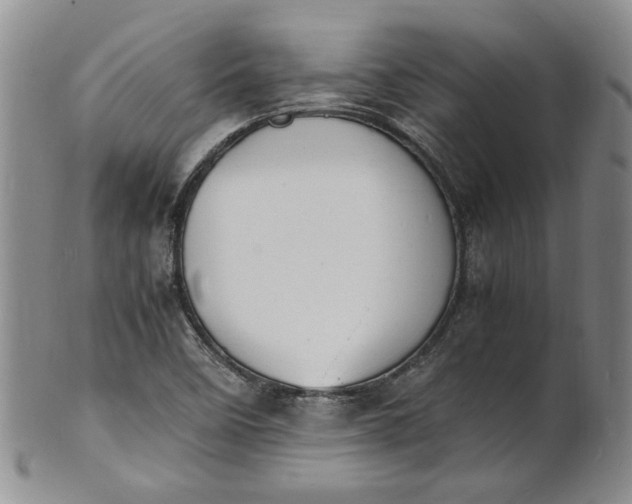 X0000100981458200807081232