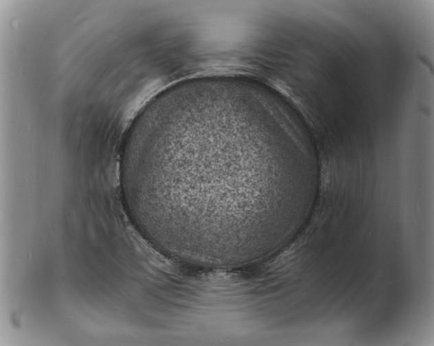 X0000100981459200807081232