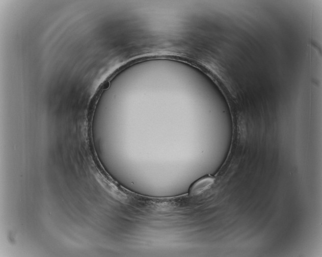 X0000100981460200807081232